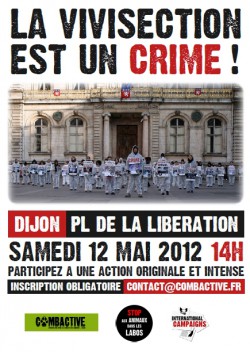 affiche-sale-dijon-mini