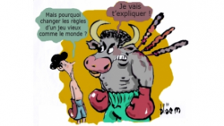 dessin